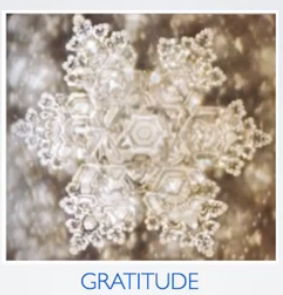 Water when it is exposed to gratitude.