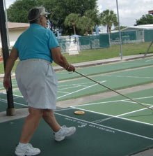 Shuffleboard Champ
